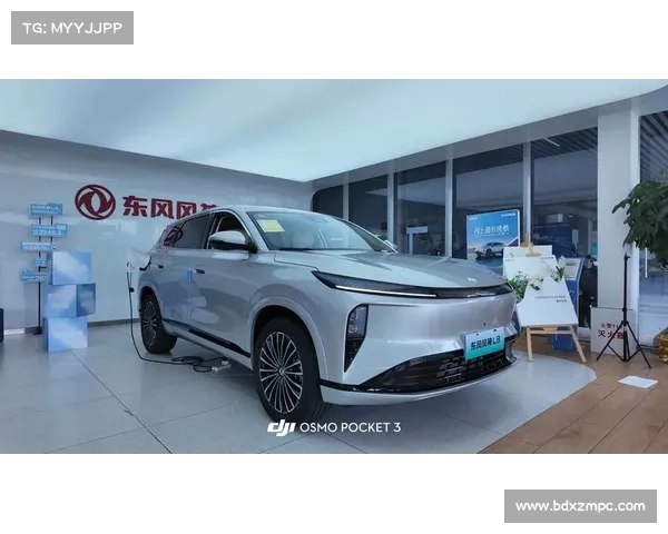 东风风神签万辆大单 首批交付千辆