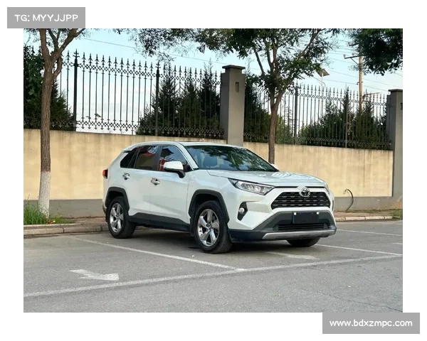 丰田RAV4荣放轮毂氧化起泡 丰田RAV4荣放轮毂氧化起泡